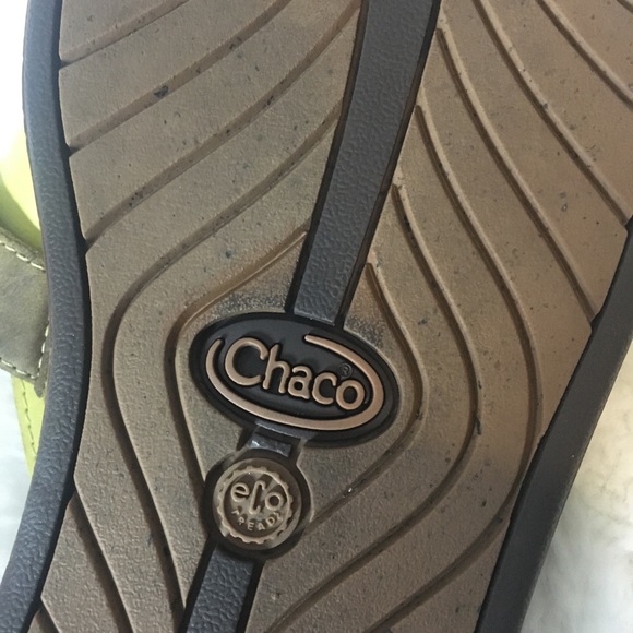 Chacó camal - Picture 4 of 4